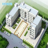 華佗中醫學院項目備案證明