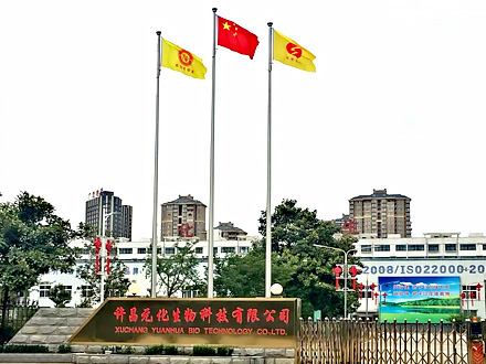 元化集團(tuán)舉行“五四”青年節(jié)升旗儀式